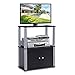 COSTWAY Fernsehtisch, TV Möbel Regal Tisch Schrank, Fernsehschrank, Sideboard für Schlafzimmer, Wohnzimmer, 60 x 29,5 x 75 cm (schwarz)