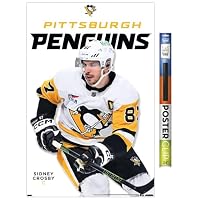 Amazon.co.jp: Trends International NHL ピッツバーグペンギンズ