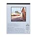 Bee Paper Cold Press 140 Pound Watercolor Paper Pad, 9-Inch by 12-Inch (1136T15-912)