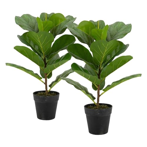 T2 Concept (Set of 2) 25” Tall Artificial Fiddle-Leaf Fig