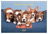 Basenji-Schönheiten (Tischkalender 2026 DIN A5 quer), CALVENDO Monatskalender: Wunderschöne Basenjis, groß und klein (CALVENDO Tiere)