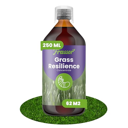 Concentrado Resiliencia Césped Frassor: solución a zonas calvas para un prado denso de 62 m²
