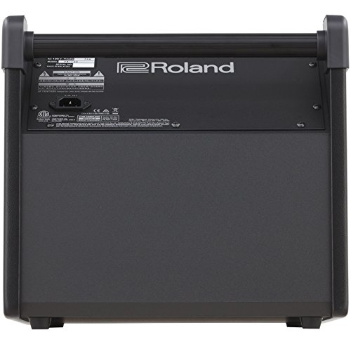 Roland PM-100 Compact Electronic V-Drum Set Monitor, 80-Watt