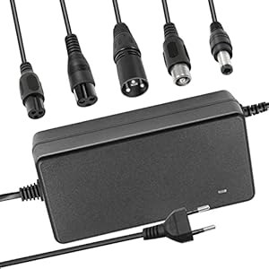 29.4V 42V 54.6V 58.8V 67.2V 84V 96.6V Li-ion batterij multifunctionele lader 2A 5A met koelventilator 24V 36V 48V 51V 60V 72V
