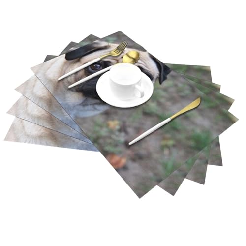 Set de table carlin pour cuisine intérieur et extérieur - 3