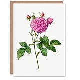 Size: This card measures 17.5 x 12.5 cm (6.8 x 4.9 inches).