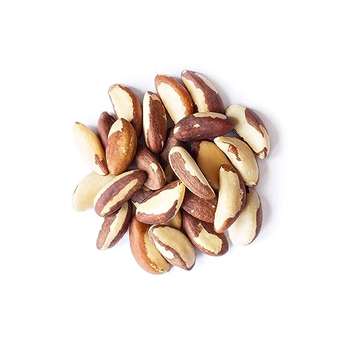 Food to Live Organic Brazil Nuts, 1 Pound - Non-GMO, Raw, Whole, No Shell, Unsalted, Kosher, Vegan, Keto, Paleo Friendly, Bulk, Trail Mix Snack, Good Source of Selenium, Low Sodium and Low Carb