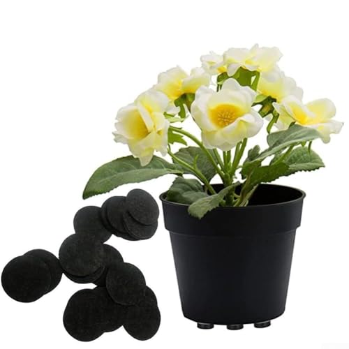 Linnkyfloa 24 elevadores de jardín de perfil bajo para suelo mejorado redondo de flujo de aire protección de plantas - Invisible - Pies de drenaje antideslizantes para maceta de goma EVA (4 cm de