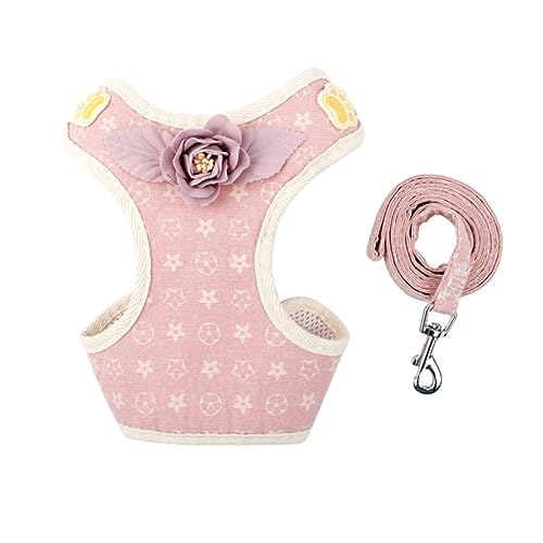 EXAOMBLE pv[v n[lX ybgp`FXgR STCY ʋCf sNp[v ^UAEghAp tBbg\