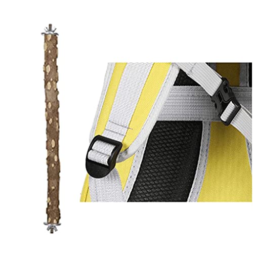 Pet Parrot Carrier Bird Travel Bag with Standing Perch, Space Capsule Transparent Backpack Breathable 360° Sightseeing (Black) - Image 5