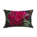 Epinki Poszewki na poduszkę, 30 x 50 cm, 1 x miękkie poszewki na poduszki z wzorem deszczowym, w kolorze różowym, czerwonym, zielonym