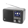 Dual 76111 CR 510 Smartradio (DAB+/FM/Internet) in houten behuizing met Bluetooth en accu