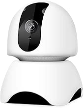 LUOJI Wireless Security Monitor Detection