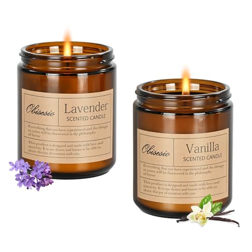 Obisesio Duftkerze 2Set, Duftkerzen Geschenkset 100% Natürliches Sojawachs,Long Lasting Amber Jar Candle,Relaxing Gift for Body and Mind,Suitable for yoga,spa,dating,health,home decoration.