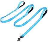 Mycicy 3 Handle Dog Leash 10FT Triple Handle Reflective Large Medium Dog