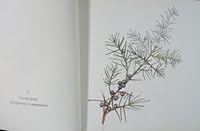 Cueillettes en Provence 2841350320 Book Cover