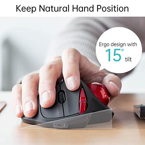 Sanwa 2.4G Wireless Ergonomic Trackball Mouse, Optical Rollerball Mice, Programmable Silent Buttons, 34Mm Trackball, 600/800/1200/1600 Adjustable Dpi, Compatible With Macbook, Laptop, Windows, Macos #TOP3