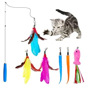 Cat Toys for Indoor Cat, 1PCS Retractable Cat Wand Toy and 5PCS Cat Feather Toys Refills and 1PCS Fish Teaser Refills, Interactive Kitten Toys Fishing Pole, Fun Toy for Cat Exercise