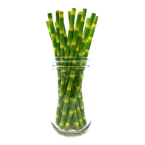 Picture Perfect Party Premium Paper Straws [Pack of 25 Drinking Straws] (Bamboo Style)