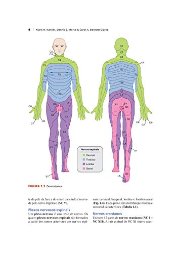 Anatomia Clínica: Uma Abordagem por Estudos de Casos