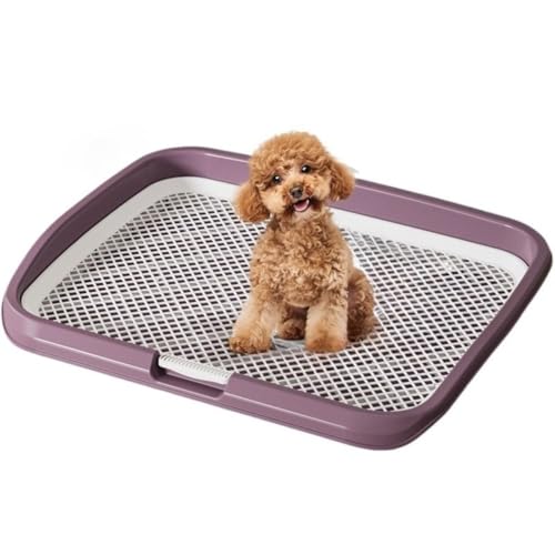 MCSWSEE ���p�g�C���g���[ ��^ ���^�C�v �n�C�t�F���X �򖗖h�~ �݌v ���^�� ���^�� �Ή� ���� ���O ���p ����~�� �t�� ��v �\�� �y�b�g�g�C�� �ȒP�ݒu �����Ǘ� �\ (�s���N,�卆�y��{�Z�b�g�{�x���z)