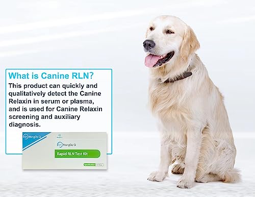 10 Pcs Dog Pregnancy Test Kit at Home, Rapid Relaxin Dog Pregnancy Test Canine Pregnant Test Strip Supplies Convenient Fast and Accurate Easy to Use Results for Breeders Home Vet Clinic Hospital 10 Pcs Dog Pregnancy Test Kit at Home, Rapid Relaxin Dog Pregnancy Test Canine Pregnant Test Strip Supplies Convenient Fast and Accurate Easy to Use Results for Breeders Home Vet Clinic Hospital