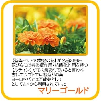 ken　新アロマエッセゴールド本体470ml 3本セット品 新パッケージ POLA アロマエッセゴールド シャンプー 470ml