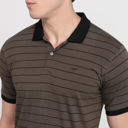 Image of Park Avenue Men Slim Fit Stripe Pattern Pure Cotton Polo Neck Half Sleeve Casual T-Shirt