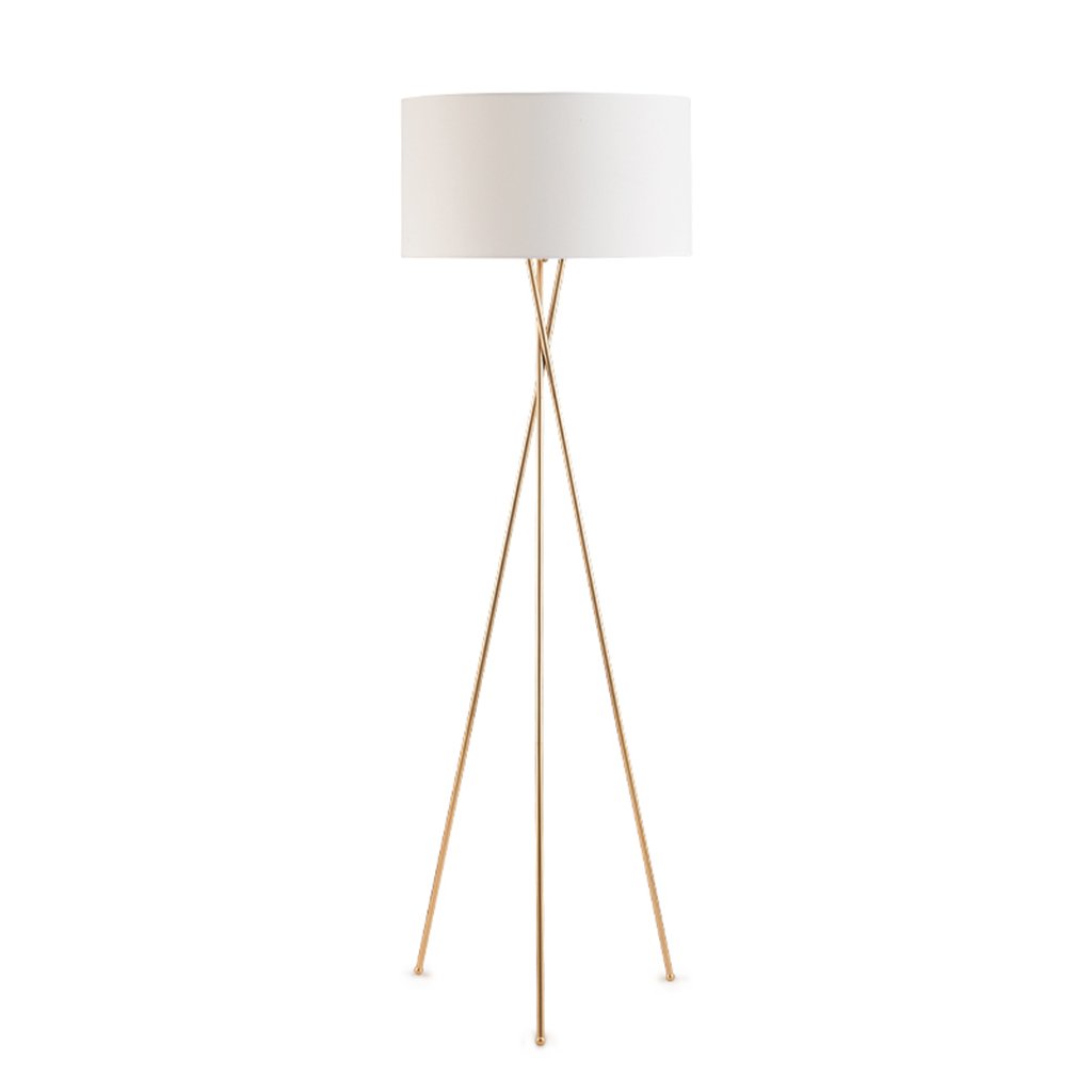 Lampes de plancher trépied chromées pour illuminer votre salon moderne