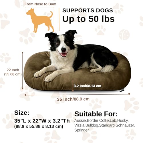 Image of Washable Oval Dog Bed for Large Dogs, Silver-Tipped High-Resilience, Brown | Non-Slip Bottom Prevents Sliding, Soft Plush Short Fur, Machine Washable, Ideal for Crates /Apartments /Cozy Nooks,35 inchx22 inchx3.2 inch