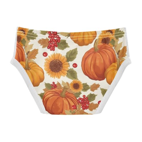 Wusikd Pumpkins Sunflowers Boys' Underwear Cotton Red Berries Boys Briefs Soft Toddler Underwear 2T2