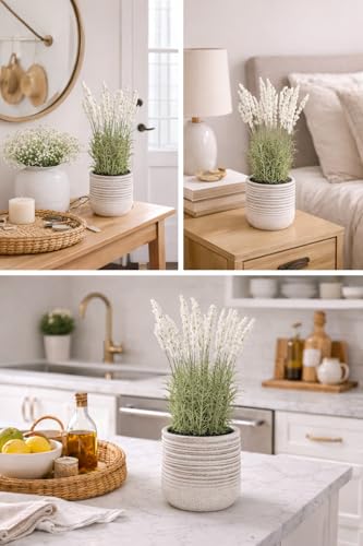 Image of Garden Art Artificial Lavender Plant with Pot - Flocked Purple Lavender Flowers in Textured Pot, Perfect for Home Decor, Office Desk & Gift Use (P-0230White)