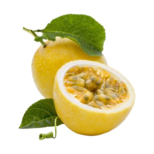 Muda Frutífera de Maracujá Doce