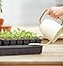 Burpee Self-Watering Seed Starter Tray, 72 Cells