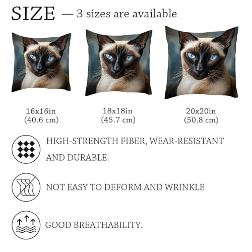 Housse de coussin chat velours 50x50 cm lot de 2