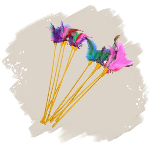 Lyra Pet® 10 Stück Katzenangel Spielangel mit Feder Federwedel Spielzeug Katze