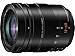 PANASONIC LUMIX G LEICA DG VARIO-ELMARIT PROFESSIONAL LENS, 12-60MM, F2.8-4.0 ASPH, MIRRORLESS MICRO FOUR THIRDS, POWER O.I.S, H-ES12060 (Renewed)