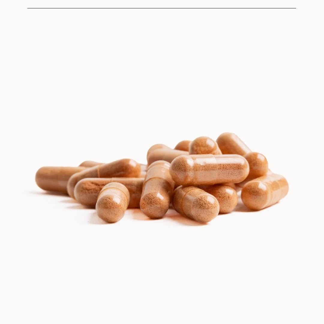 NATESIS - PYCNOGENOL - Antioxydant - Circulation Sanguine Jambes - Extrait Écorce Pin des Landes 100% naturel et français - Circulation veineuse - Anti Jambes Lourdes - VEGAN - 40 gélules