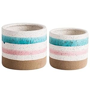 Yardwe 2 Stuks Kleine Potten Indoor Plant Potten Cactus Bonsai Kleine Bloempotten Voor Home Decor en Bureau Decoratie