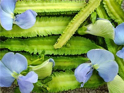 Creative Farmer Vegetable Seeds Manila Bean Herbaceous Perennial Seeds - Winged Beans Seeds For Hot Climate Home Garden Seeds Home Garden Seeds (B07N46YPXZ) Amazon Price History, Amazon Price Tracker