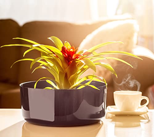 KADAX Blumenschale aus Kunststoff, runde Schale, Pflanzschale, Pflanzgefäß, Kunststoffschale für Fensterbank, Tisch, Wohnzimmer… – Ansicht 2