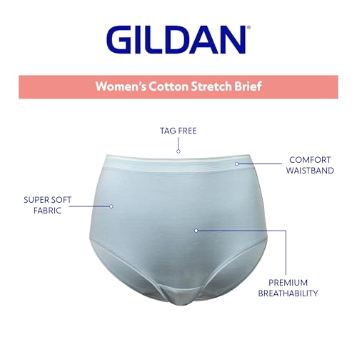 Gildan Women's Cotton Stretch Brief Underwear, Egret/Cork/Turbulence (6-pack), Medium - image 3