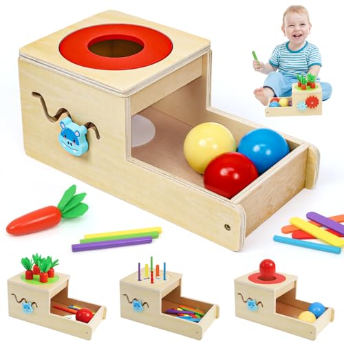Montessori Toys for 1 Year Old, 6 in 1 Wooden