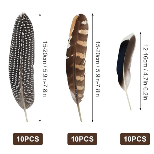 30PCS Piume Naturali Decorative Lunghe Piume, 3