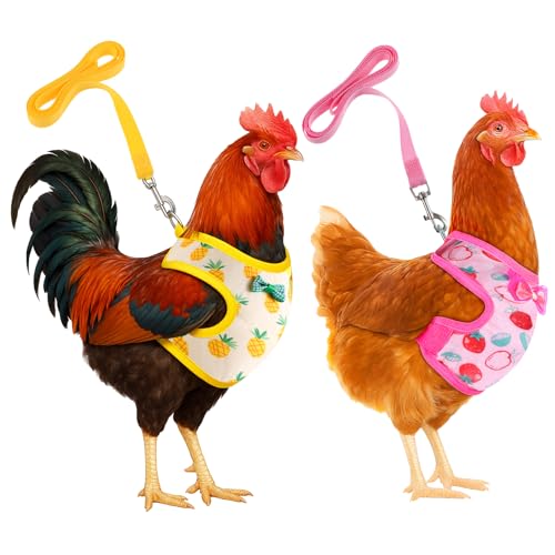 2 Stück Hühnergeschirr mit Leine Warnweste Huhn Verstellbares Hühner-Geschirr mit Leine Warnweste für Hühner Hühnerwestem Trainingsgeschirr Haustiergeschirr Kostüm für Huhn Ente Oder Gans Training