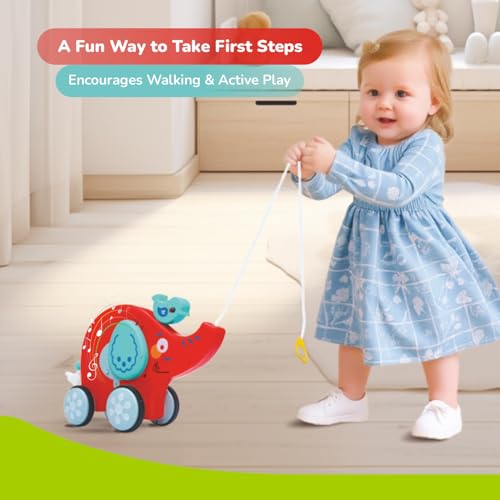 Image of R for Rabbit Orapple Trunky Musical Pull-Along Toy for Baby with Lights & Smooth Wheels |Encourages Walking, Balance & Coordination | Motor Skill Development 12+ Months Kids (Red Blue)