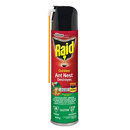 Raid Insect killer outdoor ant nest destroyer 400g