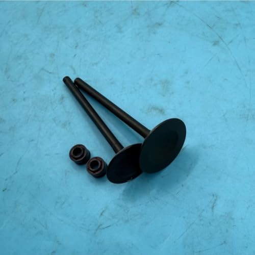Juego para UTV 250cc compatible con motores HS250 Massimo y Bennche 2