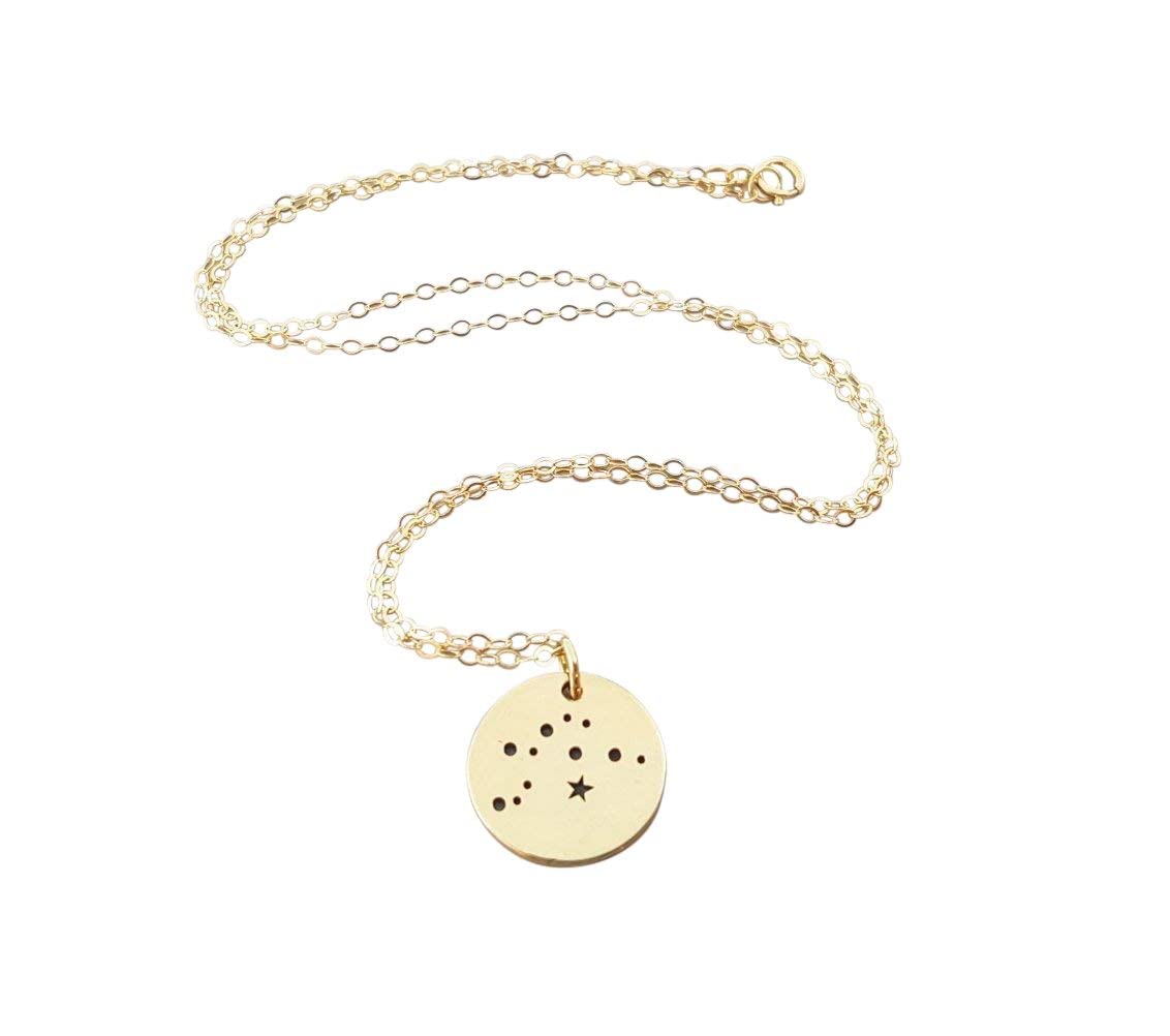 Amazon.com: Aquarius Zodiac Necklace 