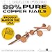 Dubbs Hardware 1.5-Inch Pure Copper Roofing Nails - 10 oz Pack of Solid Copper Slate Spikes for Roofing, Flashing, Furniture, and Boat Building - 3/8